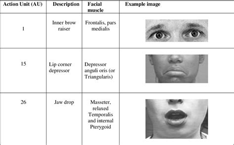 Figure 2.1 from Computational analysis of facial expressions | Semantic Scholar