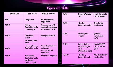 Toll Like Receptors Ppt Free Download