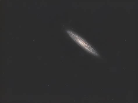 NGC 253 The Sculptor Galaxy Steeve Body Astrophotographer