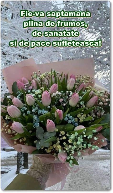 Pin De Anca En Buna Dimineata Flores Imagenes De Amistad Pinterest