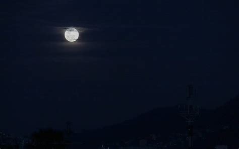 ¡no Te Pierdas Esta Noche La Luna Rosa Conoce Su Significado El Sol De Zamora Noticias