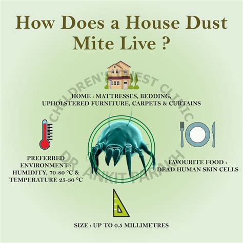 How does a House Dust mite live? - Dr. Ankit Parakh