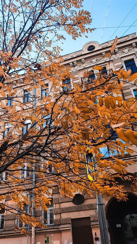 Санкт-Петербург