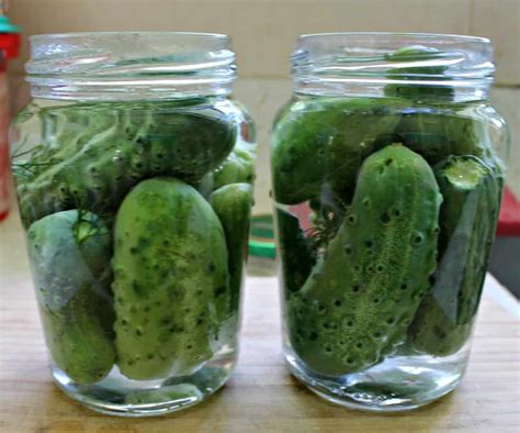 Bottled Gherkins Homemade Dill Pickles Recipe Pickles Pickling