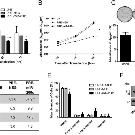 Mir 200c Over Expression Inhibits Cell Growth And Induces Apoptosis