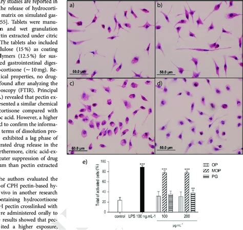 Representative Micrographs Of Mice Peritoneal Macrophages Incubated