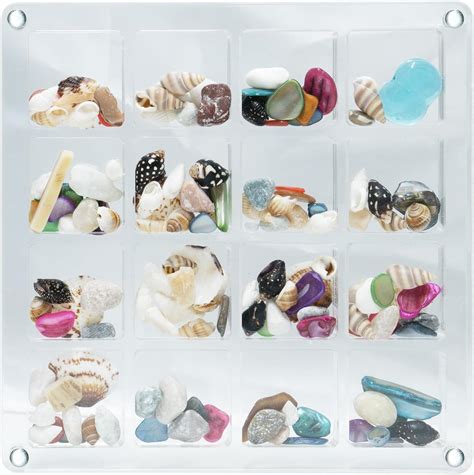 Amazon Acrylic Seashell Display Case Grids Magnetic Seashell