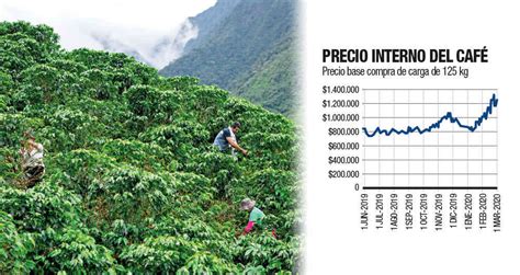 Buena Poca Para El Precio Del Caf En Colombia