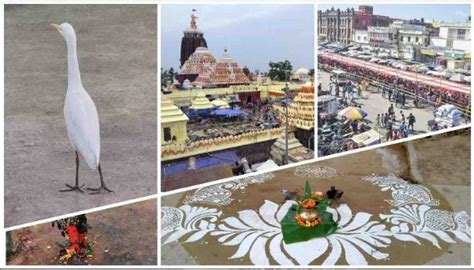 Panchuka Begins In Odisha Today Know Significance Of These 5 Days When