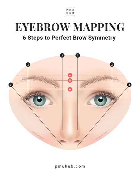 Eyebrow Mapping Tips And Tricks The Best Outline For Every Client