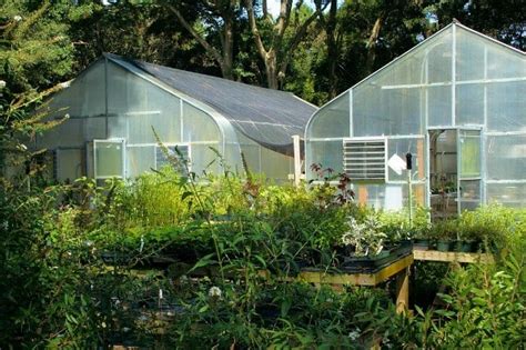 Greenhouse Farming Training Guide In India Agri Farming