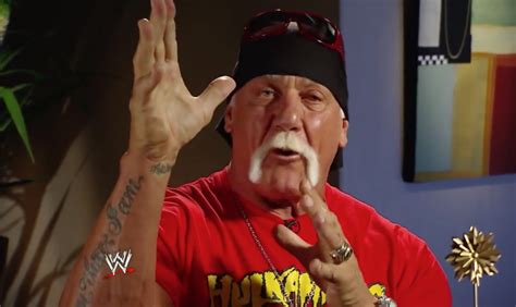 Hulk Hogan Is Supposedly Negotiating A WrestleMania 33 Appearance