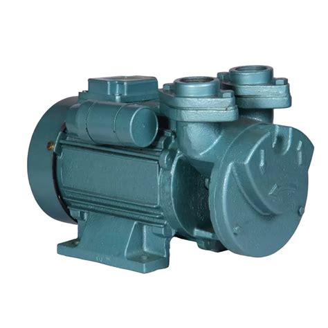 Buy Dharani 1 HP Single Phase Self Priming Monoblock Pump DMSVS 100