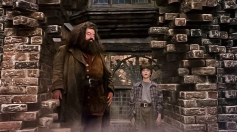 Harry Potter And The Sorcerers Stone Hagrid Welcome To Diagon