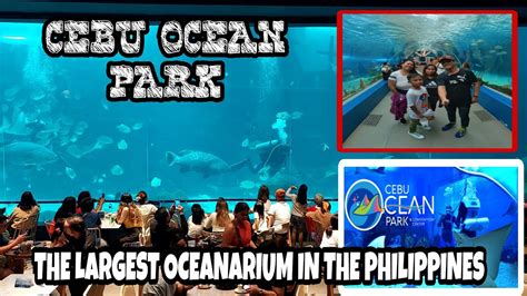 Cebu Ocean Park The Largest Oceanarium In The Philippines Cebutravel