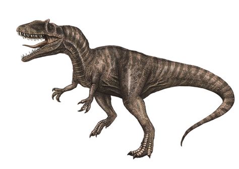 Tafonomía del Compsognathus longipes un dinosaurio terópodo fascinante