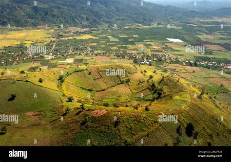 Wild Sunflower Season At Chu Dang Ya Volcano Chu Pah Gia Lai Province