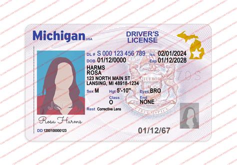 Michigan Driver License Template (V2) - PSD Stores