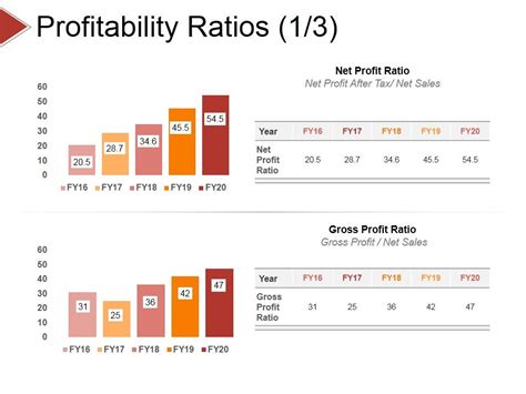 Profitability Ratios Template Ppt Powerpoint Presentation Icon