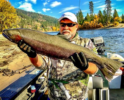 Clearwater River Guided Fishing Trips Steelhead Salmon Fishing