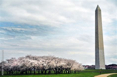 Washington Monument. Stock Photo | Adobe Stock