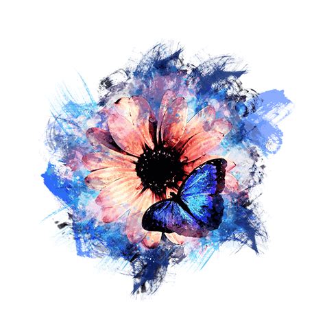 Mariposa Pétalos Flor Imagen Gratis En Pixabay Pixabay