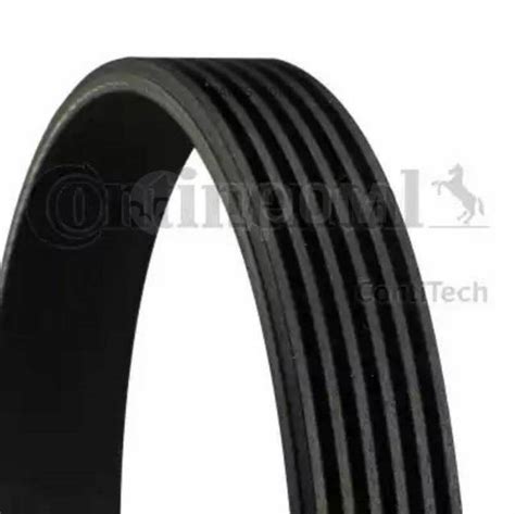 Купить Ремень поликлин. Contitech Contitech 6PK2040 Contitech 6PK2040 в ...