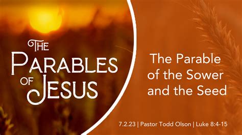 The Parable Of The Sower And The Seed First Evangelical Free Church