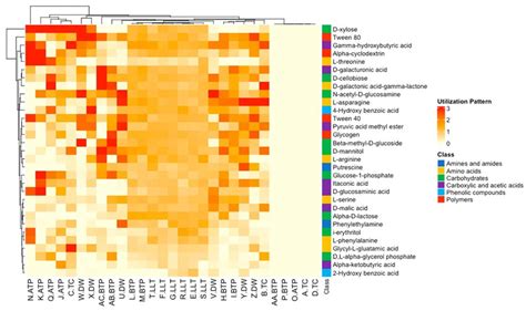 Metabolic Fingerprints Of Microbial Communities In All Water Samples