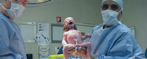 Services Gynaecologist Brisbane Obstetrician And Fertility Management