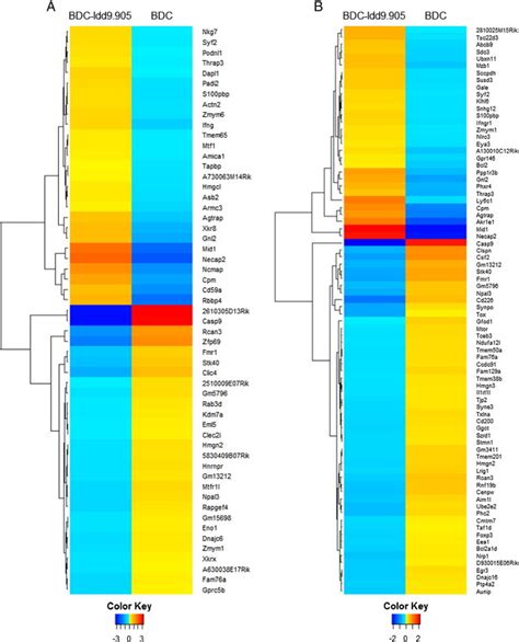 Gene Expression Heat Map And Hierarchical Clustering From Microarray