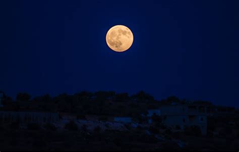 Luna Llena Noviembre En M Xico Cu Ndo A Qu Hora Y D Nde Ver