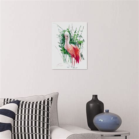 Roseate Spoonbill Watercolour By Suren Nersisyan Artfinder