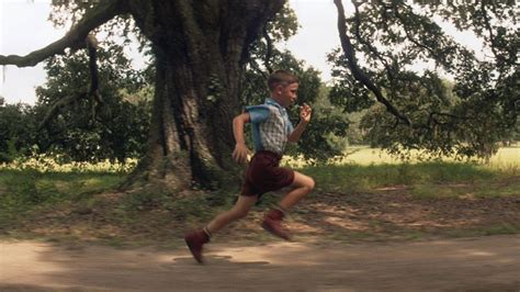 Free Forrest Gump Background , [100+] Forrest Gump Background s for ...