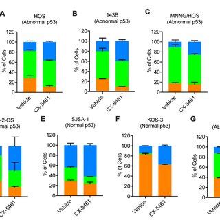 CX 5461 Induces G2 Phase Cell Cycle Arrest In Human OS Cells AG