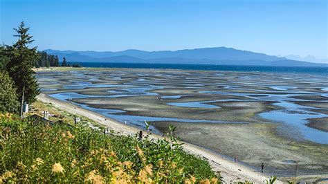 Just Steps To Rathtrevor Beach — Ocean Trails Resort Parksville BC Resort