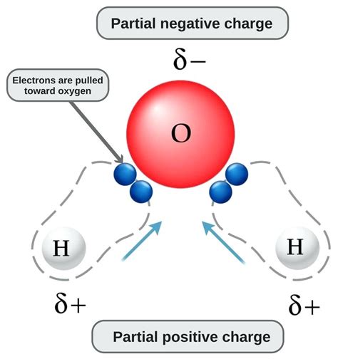 Water Molecule Diagram