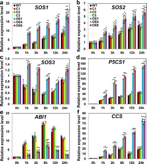 Qrt Pcr Analysis Of Mrna Transcript Levels Of Salt Stress Responsive