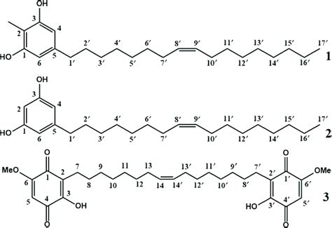 Structures Of Compounds 1 2 Methyl 5 8z Heptadecenyl Resorcinol 2 Download Scientific