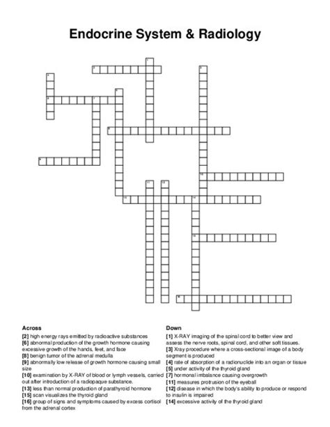 Endocrine System Radiology Crossword Puzzle