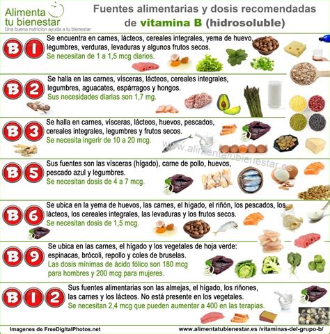 CaracterÍsticas De La Dieta Vegetariana Aspectos Nutricionales