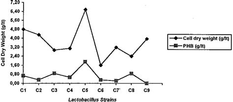 Amount Of Cell Dry Weight And PHB Produced By All Lactobacillus Strains