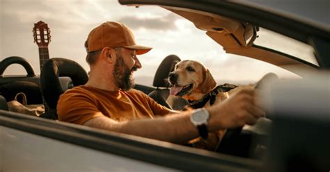 easy  affordable car finance solutions  moto finance