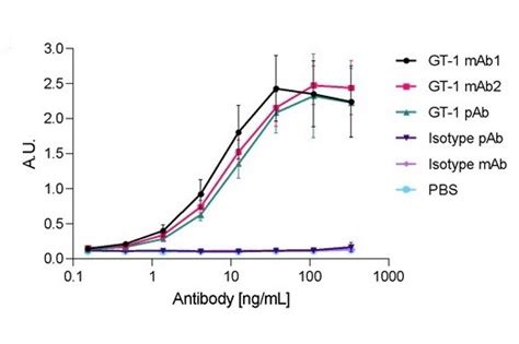 Polyclonal Antibody Sequencing Absolute Antibody