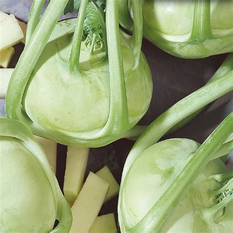 Buy Early White Vienna Kohlrabi Seed Online Mckenzie Seeds