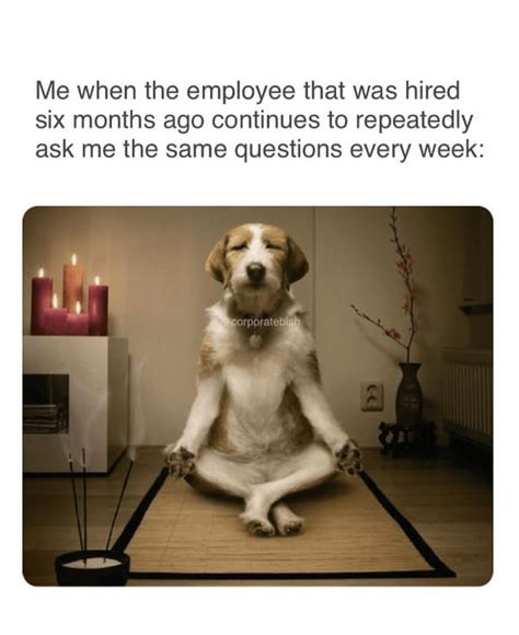 40 Relatable Coworker Memes To Send To Your Unpleasant Colleagues July