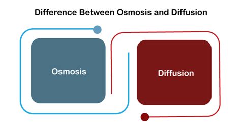 Osmosis Vs Diffusion Venn Diagram