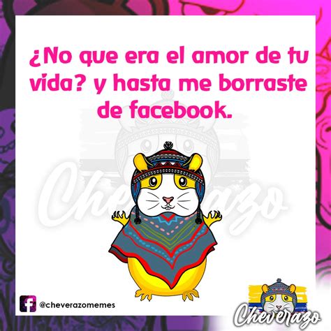 No Que Era El Amor De Tu Vida Y Hasta Me Borraste De Facebook