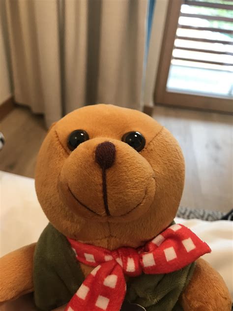 This Creepy Ass Teddy Bear My Brother Got At Our Hotel R Mildlyinteresting