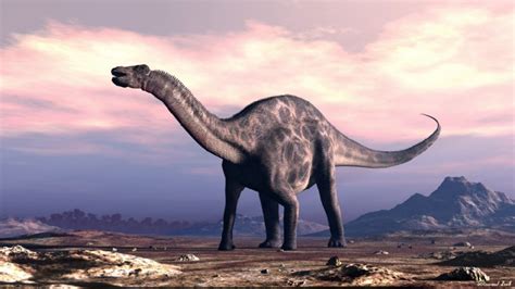 Africa Dinosaur Images & Facts - The Online Database